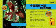 Load image into Gallery viewer, National Geographic Little Kids First Big Book of Dinosaurs • 國家地理 小小恐龍探險家