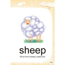 Load image into Gallery viewer, The New Magic Dictionary (with PinYin) • 新編識字魔法字典(附漢語拼音)