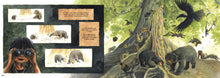 Load image into Gallery viewer, Saving Sorya: Chang and the Sun Bear (English)