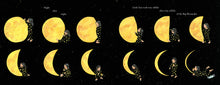 Load image into Gallery viewer, A Big Mooncake for Little Star (English)