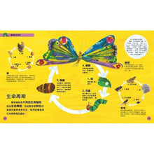 Load image into Gallery viewer, The Very Hungry Caterpillar's Very First Encyclopedia • 好餓的毛毛蟲 : 給孩子的第一本全百科