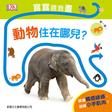 Load image into Gallery viewer, Follow the Trail: Wild Animals • 寶寶跟我畫:動物住在哪兒?