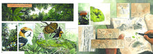 Load image into Gallery viewer, Saving Sorya: Chang and the Sun Bear (English)