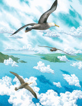 Load image into Gallery viewer, Island: A Story of the Galápagos (English)