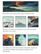 Load image into Gallery viewer, Island: A Story of the Galápagos (English)