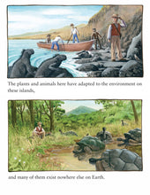 Load image into Gallery viewer, Island: A Story of the Galápagos (English)