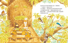 Load image into Gallery viewer, Squirrel School in the Oak Forest • 櫟樹森林的松鼠學校