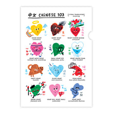 Load image into Gallery viewer, Chinese 101 FOLDERS (Set of 3) • 中文101文件夾套裝