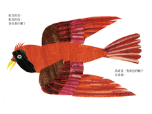 Load image into Gallery viewer, Brown Bear, Brown Bear, What Do You See? • 棕色的熊、棕色的熊,你在看什麼