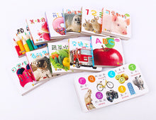 Load image into Gallery viewer, Baby's First Bilingual Board Books (Set of 12) • Baby 認知口袋書 (全套12冊)