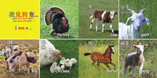 Load image into Gallery viewer, My First Animals in Cantonese: with Jyutping • 動物 - 粵英對照