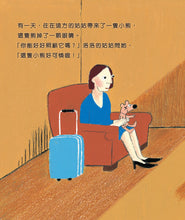 Load image into Gallery viewer, Little Balotje Bundle (Set of 6) • 洛洛系列 (6冊)