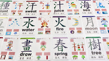 Load image into Gallery viewer, Bilingual Sensory Flash Cards (Series 1) • 觸感全腦圖像中英文字卡 (第一輯)1至150字