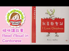 Load and play video in Gallery viewer, Little Zebra Series Bundle (Set of 9) • 小斑馬系列套書 (9冊)