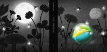 Load image into Gallery viewer, It Fell From the Sky (English)