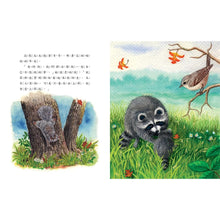 Load image into Gallery viewer, The Kissing Hand • 魔法親親