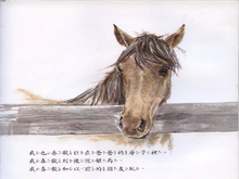 Load image into Gallery viewer, Mom and Dad Don't Live Together Anymore • 媽媽爸爸不住一起了