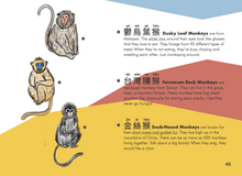Load image into Gallery viewer, Welly Bilingual Activity Books: The Monkey King (⼩猴王)