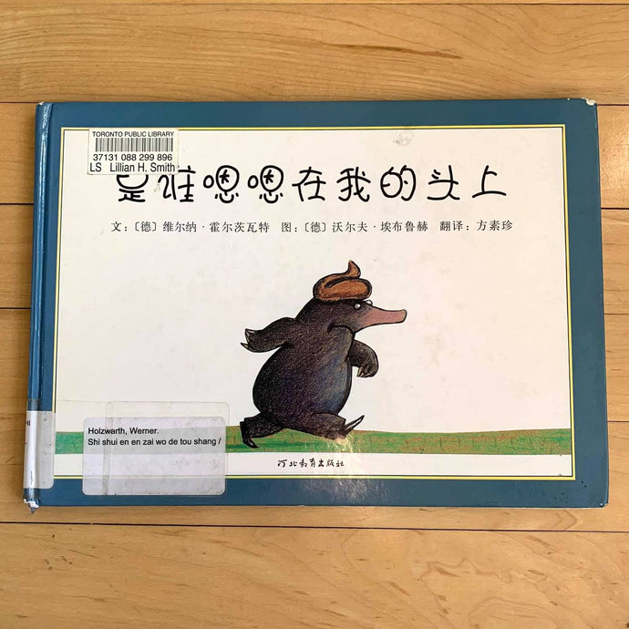 Book Highlight: The Story of the Little Mole Who Went in Search of Whodunit • 是誰嗯嗯在我的頭上？