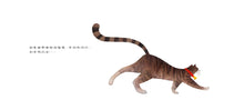 Load image into Gallery viewer, They All Saw A Cat • 他們都看見一隻貓
