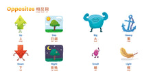 Load image into Gallery viewer, Habbi Habbi Assortment Set (Wand + 12 Books + 2 Flashcards) - Cantonese/English
