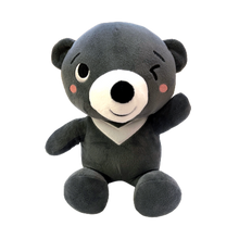Load image into Gallery viewer, BUNDLE: Globetrots for Tots: TAIWAN Book + 8.5&quot; Plushie
