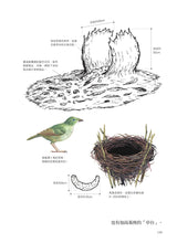 Load image into Gallery viewer, Nature&#39;s Architects: Mamoru Suzuki&#39;s Illustrated Book of 109 Animal Homes • 天生建築家：鈴木守的109種動物巢穴大發現
