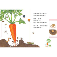 Load image into Gallery viewer, Grow, Little Seed, Grow! (Vegetables Edition) • 小種子，快長大（蔬菜篇）

