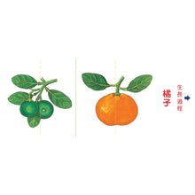 Load image into Gallery viewer, Grow, Little Seed, Grow! (Fruits Edition) • 小種子，快長大（水果篇）
