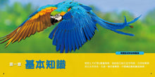 Load image into Gallery viewer, National Geographic Little Kids First Big Book of Birds • 國家地理小小鳥類探險家
