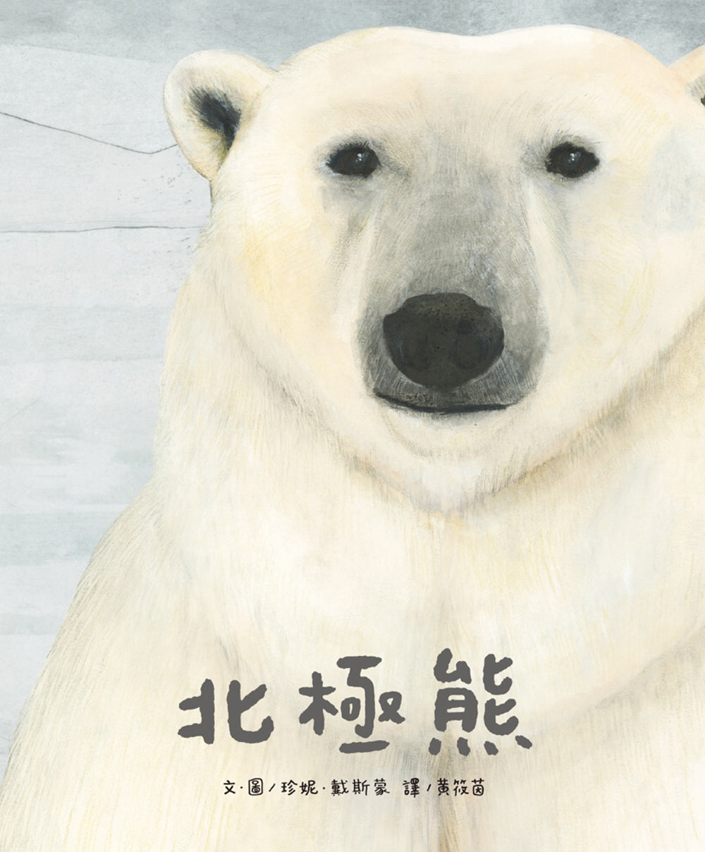 The Polar Bear • 北極熊