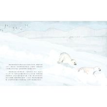 Load image into Gallery viewer, The Polar Bear • 北極熊
