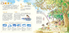 Load image into Gallery viewer, Our Seasons: The 24 Solar Terms • 我們的節氣：畫給孩子的二十四節氣變化
