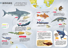 Load image into Gallery viewer, A Brief History of Life: From the Origins of the Universe to Human Civilization • 生命簡史：從宇宙起源到人類文明，重返生物演化大歷史
