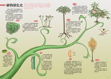 Load image into Gallery viewer, A Brief History of Life: From the Origins of the Universe to Human Civilization • 生命簡史：從宇宙起源到人類文明，重返生物演化大歷史
