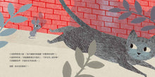 Load image into Gallery viewer, Little Mouse and the Red Wall • 紅牆外面是什麼
