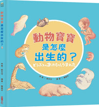 Load image into Gallery viewer, How Are Animals Babies Born? • 動物寶寶是怎麼出生的？
