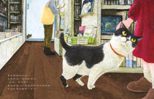 Load image into Gallery viewer, The Cat Without a Name • 沒有名字的貓
