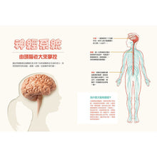 Load image into Gallery viewer, Human Body Learning Lab: Take an Inside Tour of How Your Anatomy Works • 天才小醫生的人體實驗課：18種遊戲實驗與10個器官模型DIY，內化孩子的醫學腦！

