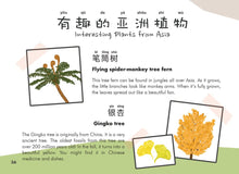 Load image into Gallery viewer, Welly Bilingual Activity Books: Let&#39;s Go Outside (一起去戶外)

