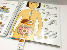 Load image into Gallery viewer, Our Bodies (Interactive Book) • 我們的身體
