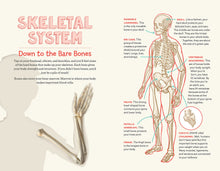 Load image into Gallery viewer, Human Body Learning Lab: Take an Inside Tour of How Your Anatomy Works (English)
