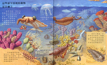 Load image into Gallery viewer, Discovery of Animal Kingdom - Sea Animals • 大自然動物小百科 - 和海洋動物面對面
