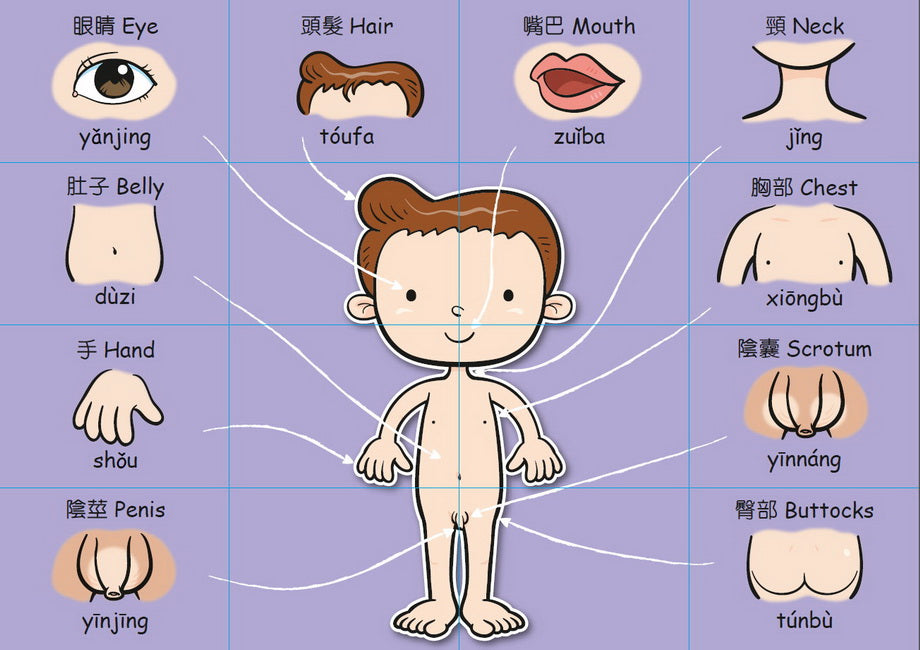 Sexuality Education Picture Cards for Children • 保護自己 拼得樂