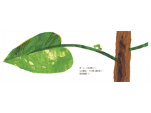 Load image into Gallery viewer, The Very Hungry Caterpillar Board Book • 好餓的毛毛蟲(硬頁書)
