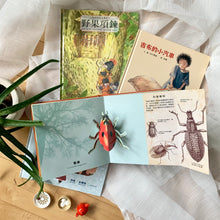 Load image into Gallery viewer, ❤️ Preloved Bundle: Variety Pack #4
