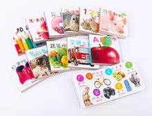Load image into Gallery viewer, Baby&#39;s First Bilingual Board Books (Set of 12) • Baby 認知口袋書 (全套12冊)
