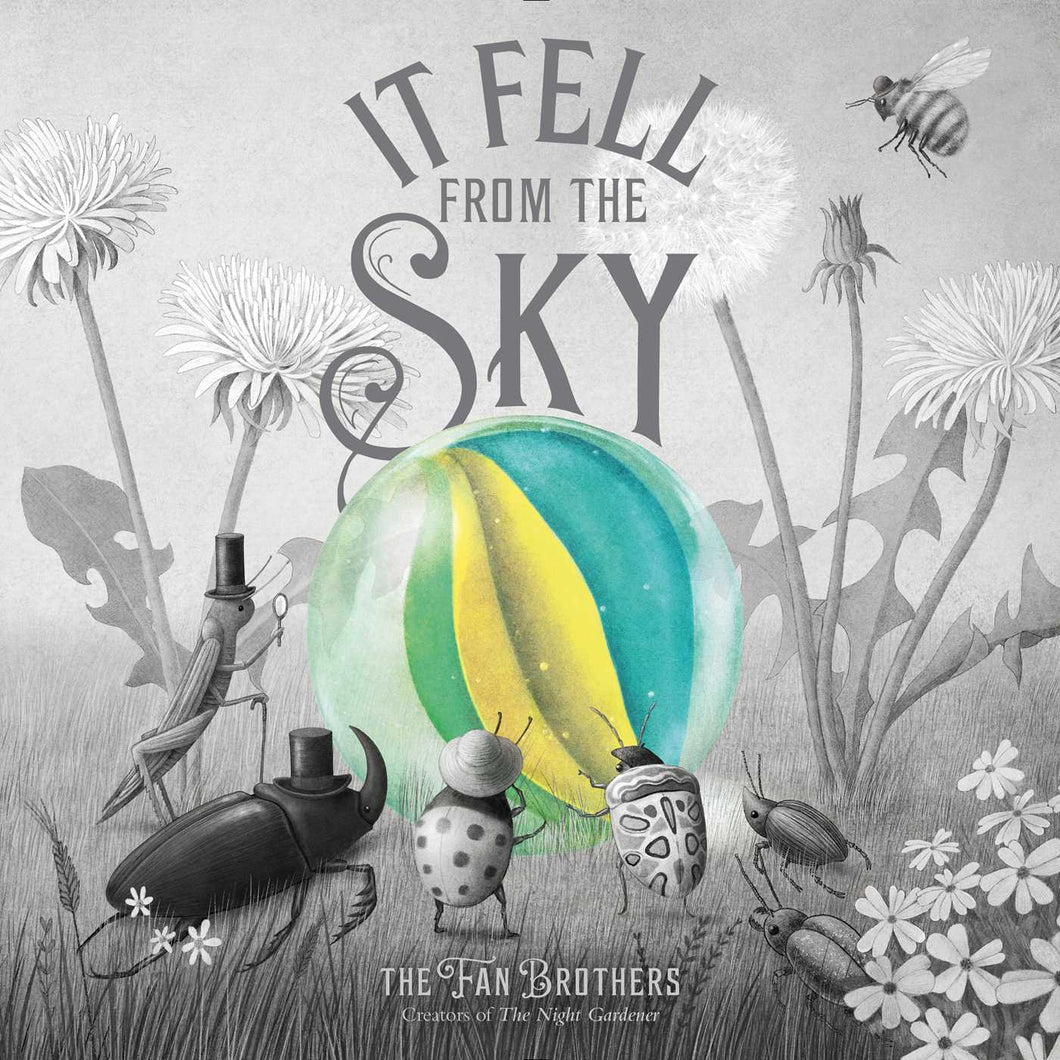 It Fell From the Sky (English)