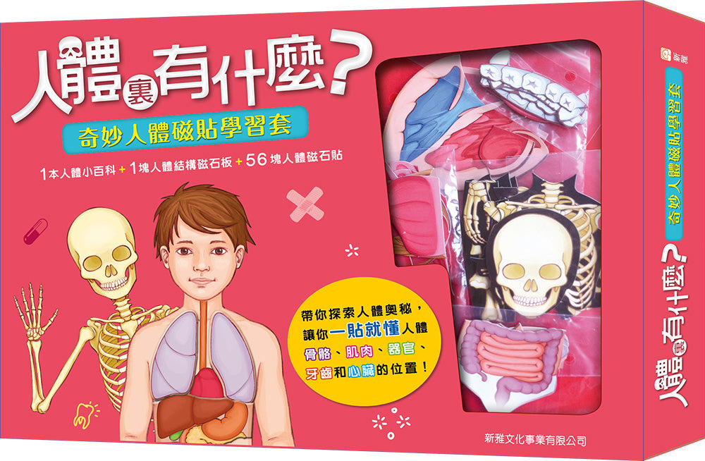 The Human Body and How It Works Book and Magnet Kit • 人體裏有什麼？奇妙人體磁貼學習套裝